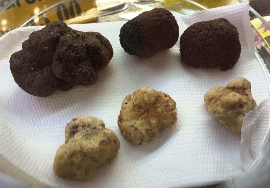 Rome: Trastevere Guided Food and Wine Tour with 20+ Tastings - Key points to know before booking