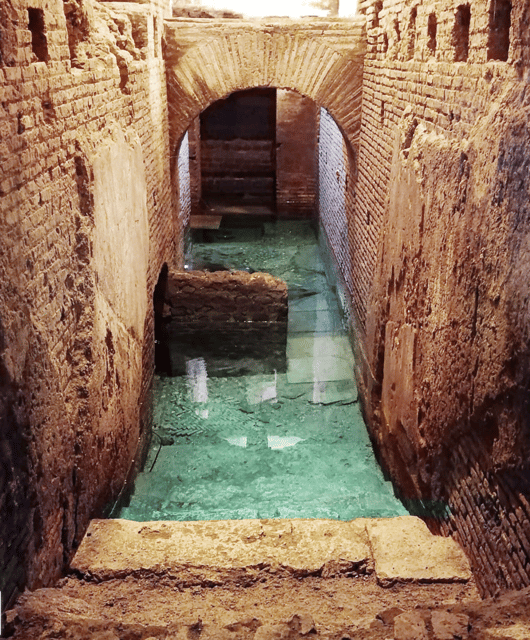Rome: Trevi Fountain Underground Small Group Tour - The Trevi Fountain stop and what to expect