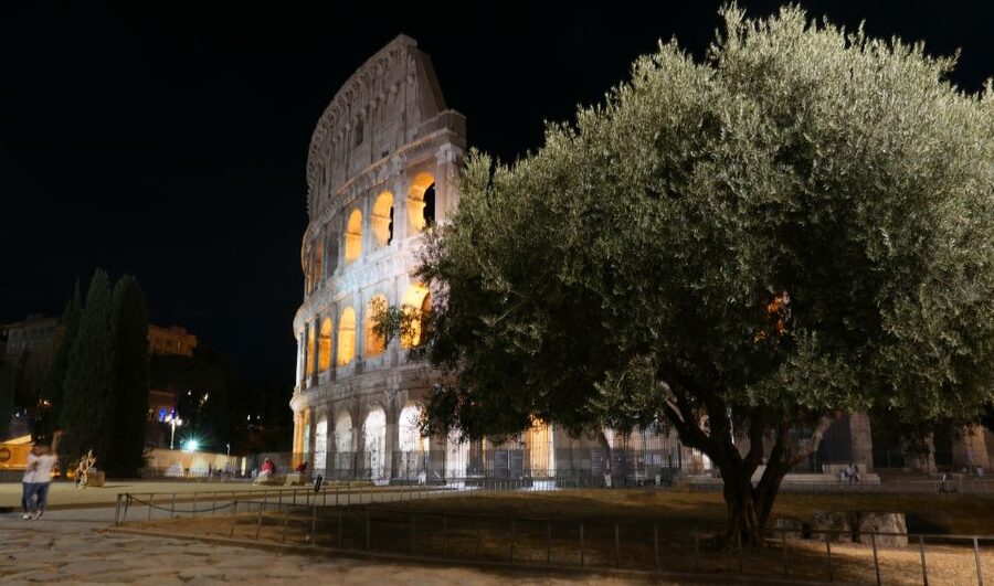 Rome: Wonders of Ancient Rome at Dusk - The Colosseum and its violent public spectacles