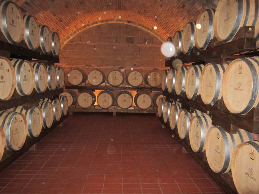 Siena & San Gimignano Day Tour & Wine Tasting from Rome - A long Tuscan day from Rome