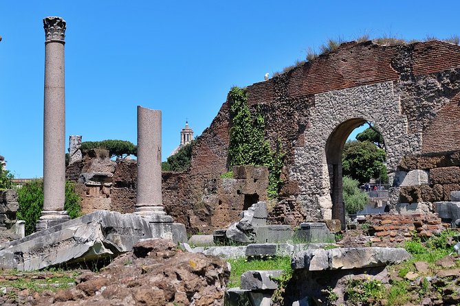 Small Group Colosseum, Roman Forum & Palatine Hill Tour - Group size, timing, and the meeting point