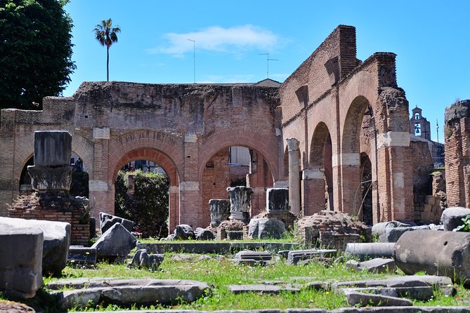 Small Group Colosseum, Roman Forum & Palatine Hill Tour - Who should book this Rome tour?