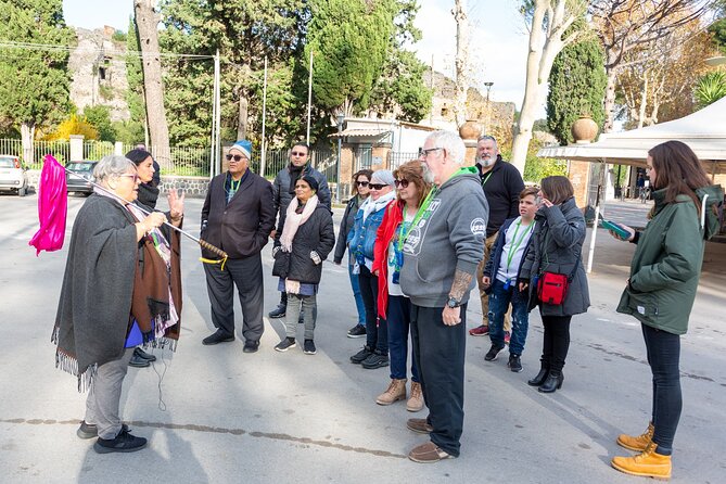 Sorrento & Pompeii Guided Day Trip from Rome with Optional Pickup - Is the $115 Price Good Value?