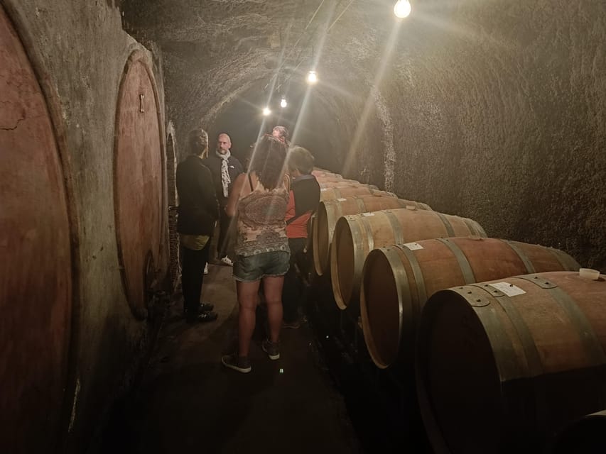 The Dying City "Civita Bagnoregio" w/wine tasting from Port - How much value do you get for $215.24?