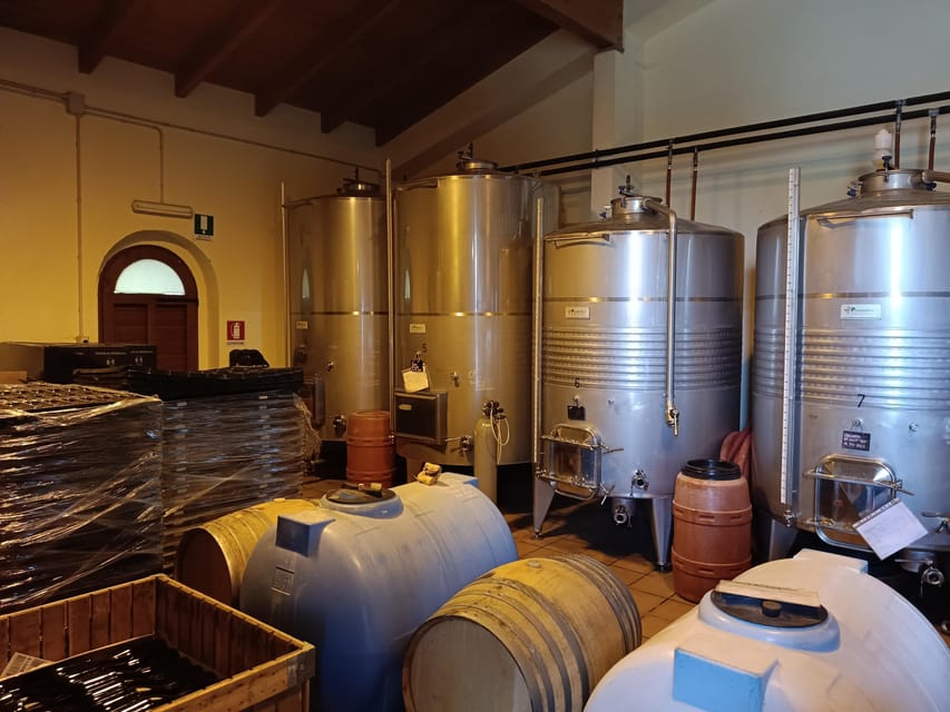 The Dying City "Civita Bagnoregio" w/wine tasting from Port - Timing, pickup, and practical details