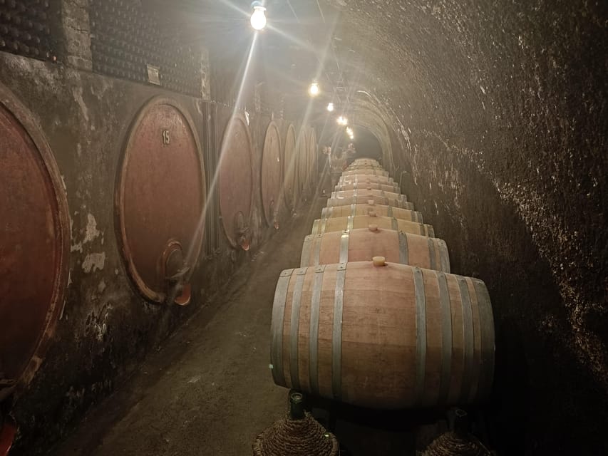 The Dying City "Civita Bagnoregio" w/wine tasting from Port - Tasting Est! Est!! Est!!! in its home territory