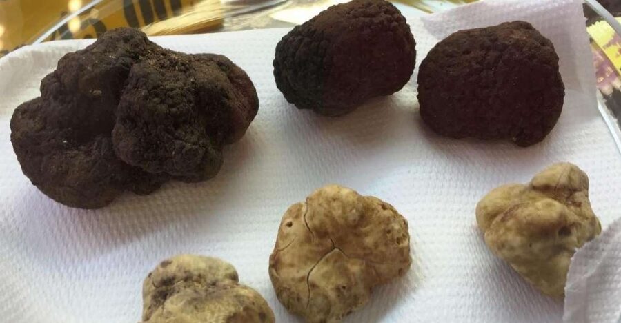The Truffle Experience in Rome - What this Rome truffle tasting is really like