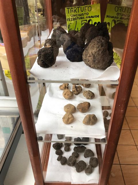 The Truffle Experience in Rome - The small-group atmosphere and the role of the host