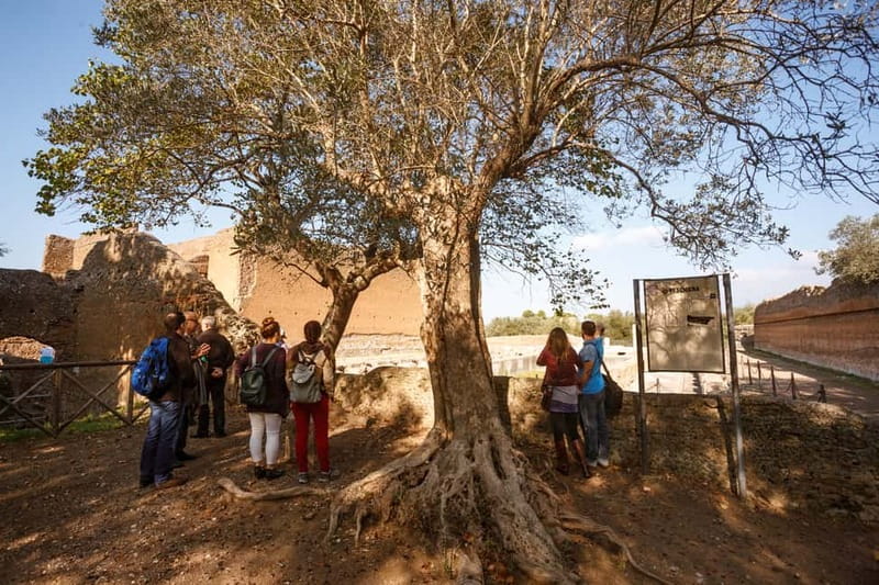 Tivoli: Entrance Ticket to Villa Adriana & App Audioguide - Key details before you go