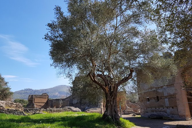Tivoli Villas Full Day Trip From Rome with Lunch - How much freedom do you get?