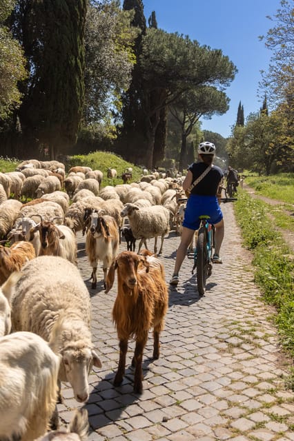 Top Electric MTB Adventure on Appian Way & Aqueducts, (26km) - Why the Appian Way makes a fine bike route