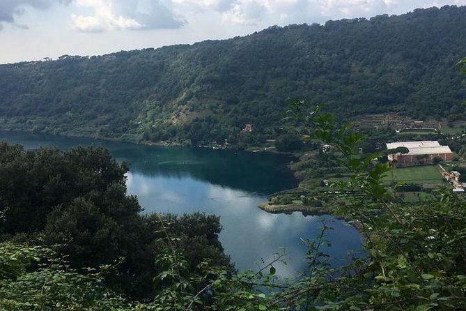 Tour to the Roman castles: Nemi, Ariccia and Castel Gandolfo, a day from Rome - The driver experience matters more than the brochure