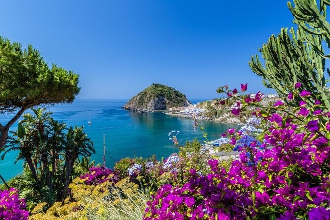 VIP Yacht Escape from Rome to Naples Island Gems Ischia & Procida - Rome to Naples by business-class train